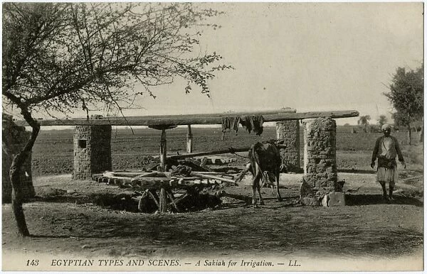 Egypt, Africa - A Sakia, used for irrigation