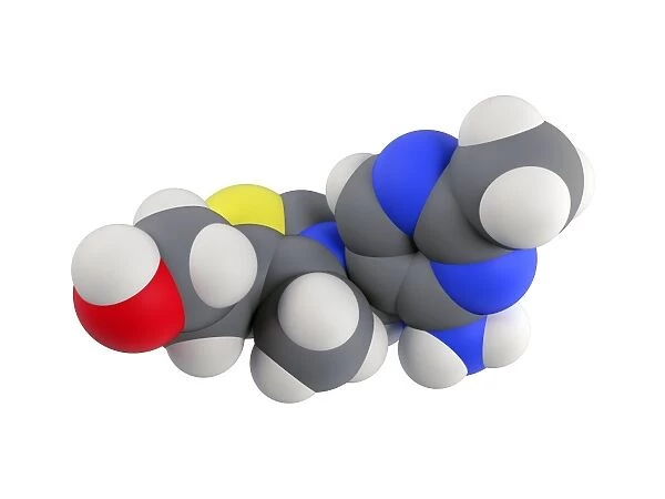 Vitamin B1 molecule