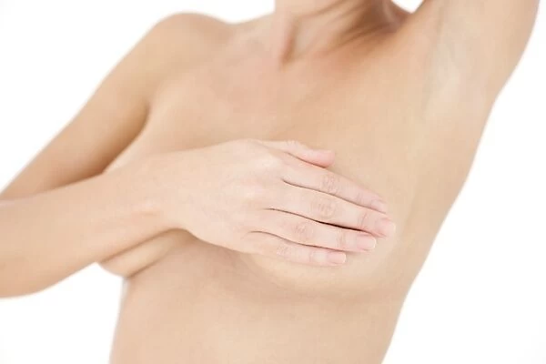 Womans chest