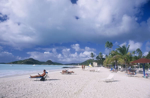 20018664. WEST INDIES Antigua Jolly Beach View along sandy beach lined with palm trees