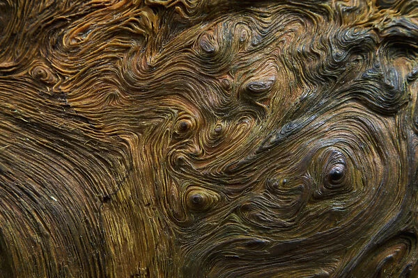 Abstract wood grain