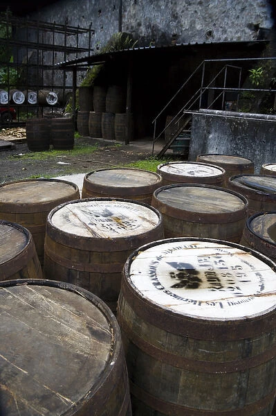 MARTINIQUE. French Antilles. West Indies. J. M. Distillery in Macouba. Oak barrels