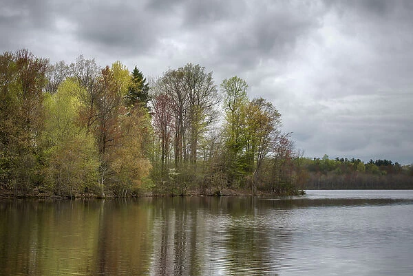 USA, New York State. Spring trees reflected in Mud Lake, Beaver Lake Nature Center