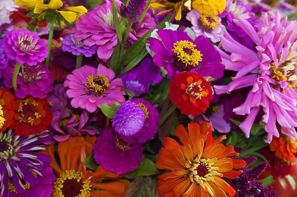 USA; North America; Georgia; Savannah; Bouquet of colorful flowers at market. (PR)