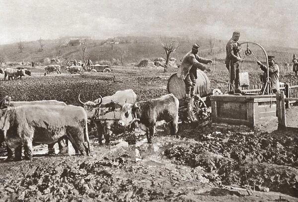WORLD WAR I: SERBIA. Troops drawing water from a well into barrels, which then