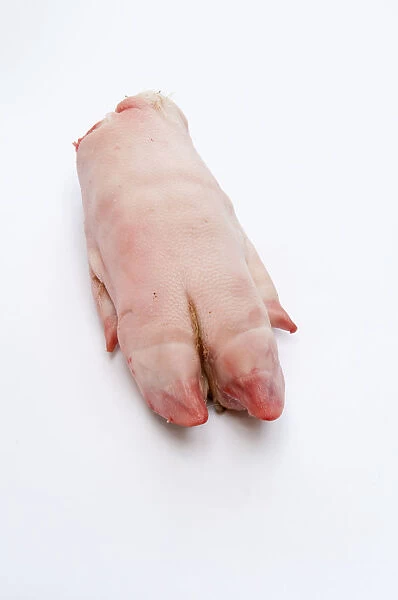 Pigs trotter, close-up