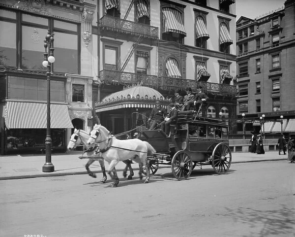 A 5th Ave stage, New York, N. Y. c. 1900-10 (b  /  w photo)