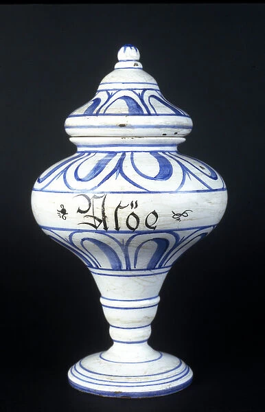 Albarelle: 16th century pharmacy vase containing Aloe. Museum of Science and Technology
