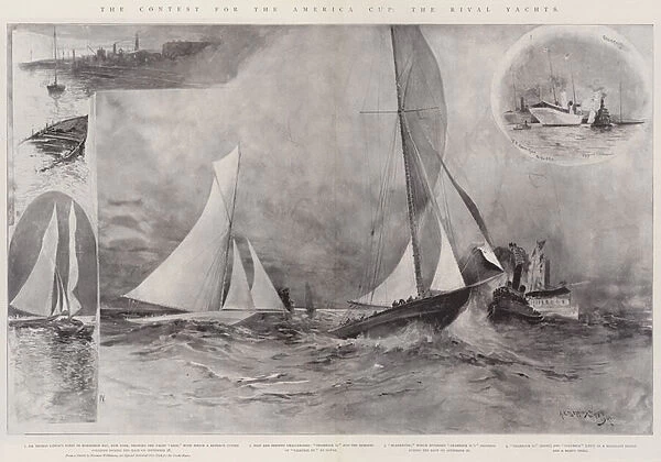 The Contest for the America Cup, the Rival Yachts (litho)