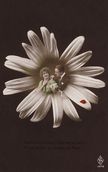 A young couple in the centre of a flower with ladybird (tinted photocollage)