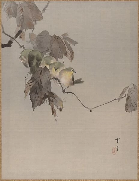 Birds Branch Meiji period 1868-1912 ca 1887
