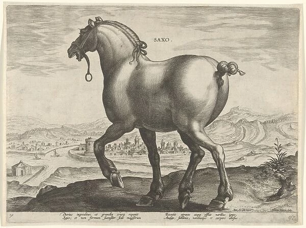 Horse from Saxony Germany, Hieronymus Wierix, Philips Galle, c. 1583 - c. 1587