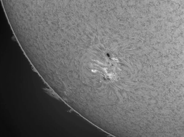 H-alpha Sun with sunspots and solar prominences