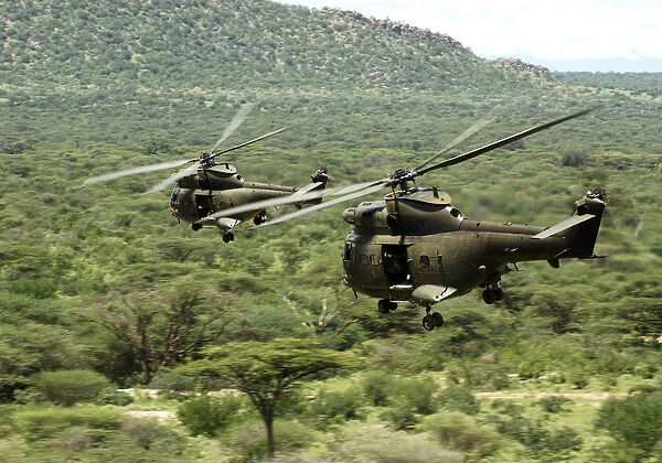 Two Royal Air Force Puma Helicopters During Ex Askari Thunder Over Kenya