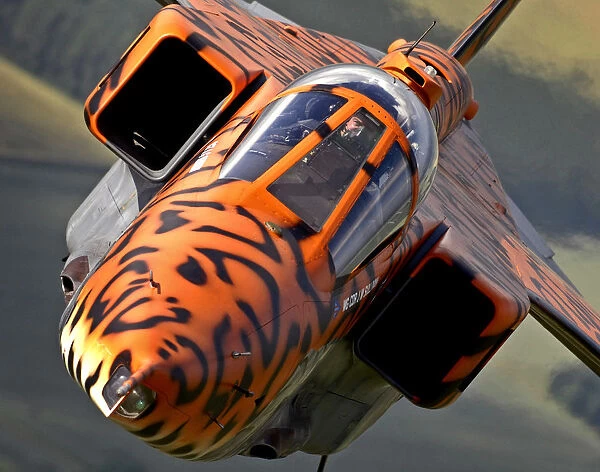 A specially painted Jaguar aircraft takes to the skies over RAF Coningsby for a final