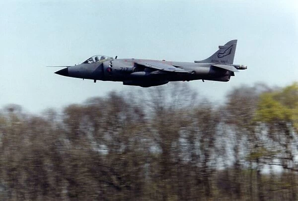 A Royal Navy  /  Fleet Air Arm British Aerospace Sea Harrier 'Harrier Jump Jet'