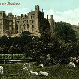Arundel Castle viewed from the Meadows, Sussex