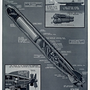 Diagram of a torpedo by G. H. Davis