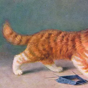 Ginger cat with knitting on a postcard