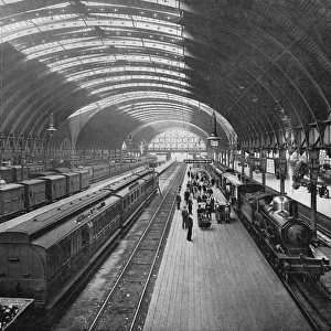 Paddington Platforms