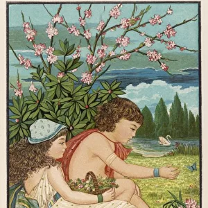 Spring / Arnold 1877