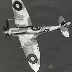 Supermarine Spitfire 8 / VIII
