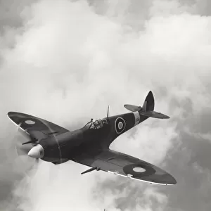 Supermarine Spitfire LF-8 / VIII