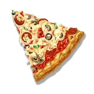 Pizza slice, artwork F007 / 8214