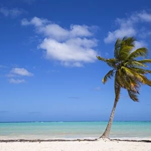 Cap Cana Beach, Punta Cana, Dominican Republic, West Indies, Caribbean, Central America