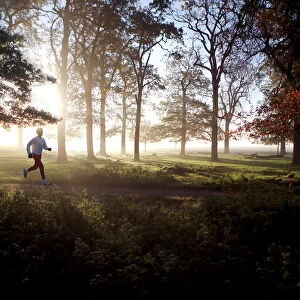 Early morning runner, Richmond Park, London, England, United Kingdom, Europe