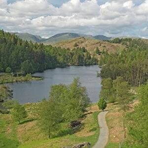 Tarn Hows, Helvellyn Range in distance, Lake District National Park, Cumbria