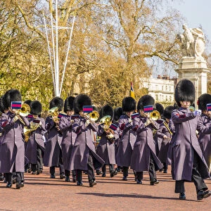 Queens Guards, London, England, UK