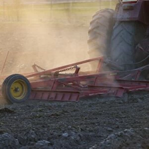 Close-up of Vaderstad cultivator, cultivating arable seedbed, in dusty field at sunset, Uppland, Sweden, may