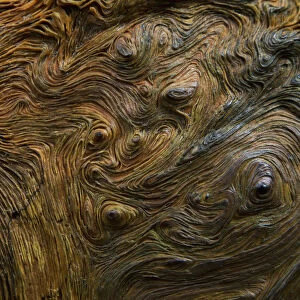Abstract wood grain