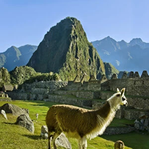 Ancient Machu Picchu, last refuge of the vanished Inca civilization in the Andes Mountains