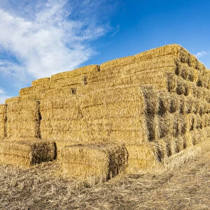 Pullman, Washington State, USA. Stack of hay bales in the Palouse hills