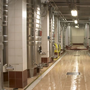 Rows of stainless steel fermentation tanks and a newly cleaned floor. The winery is designed