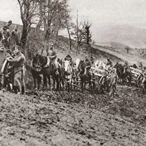 WORLD WAR I: ALLIED ARMY. The reorganized Serbian army, co-operating with British