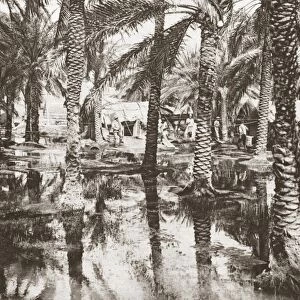 WORLD WAR I: FLOODING. British camp among the flooded Tigris and Euphrates rivers