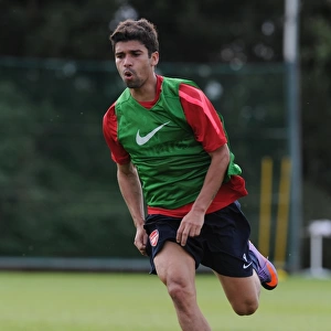 Eduardo (Arsenal). Arsenal Training Ground, London Colney, Hertfordshire, 6 / 7 / 2010