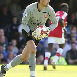 Fabianski's Dominance: Arsenal's 4-0 Victory over Portsmouth, 2009
