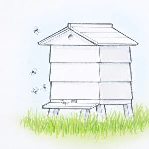 Wooden beehive on grass, front view