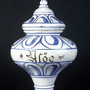 Albarelle: 16th century pharmacy vase containing Aloe. Museum of Science and Technology