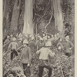 The Ashanti Expedition, Men of the West Yorkshire Regiment clearing a Space in the Forest, on the River Adra, for their Tents (litho)