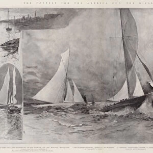 The Contest for the America Cup, the Rival Yachts (litho)