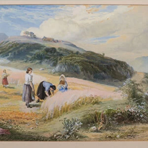 Harvest Field, Arran, 1866 (w / c)