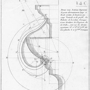 The ionic capital, illustration from a book on geometry
