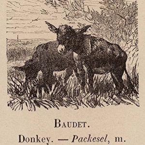 Le Vocabulaire Illustre: Baudet; Donkey; Packesel (engraving)