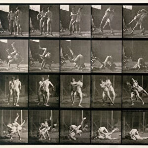 Two Men Wrestling, plate 348 from Animal Locomotion, 1887 (b / w photo)