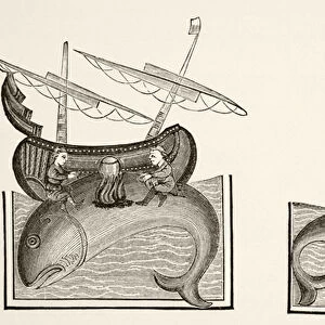 Navigators mistake a whales back for an island, after a miniature in Richard